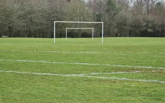 A football goal on a grass pitch
